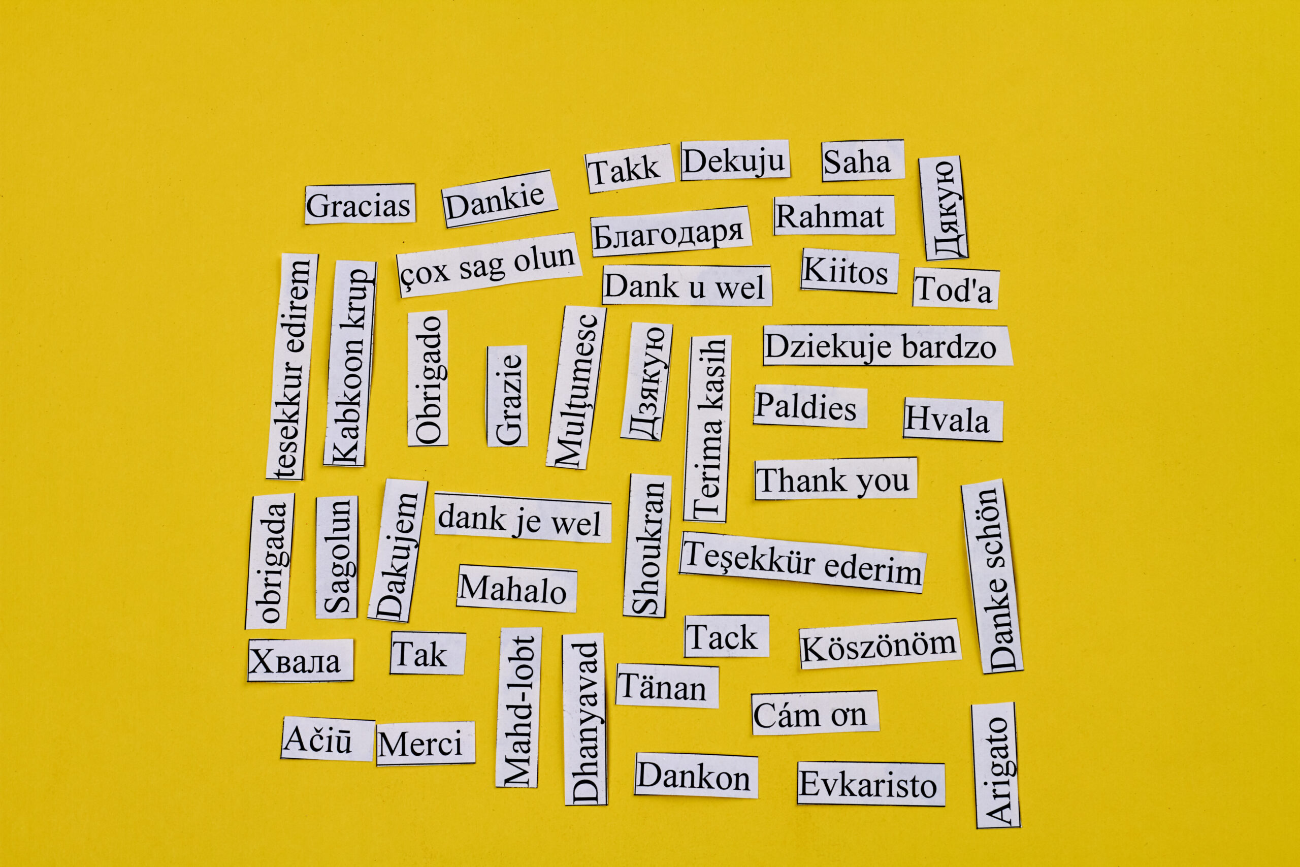 Papers with thank you in many different languages.