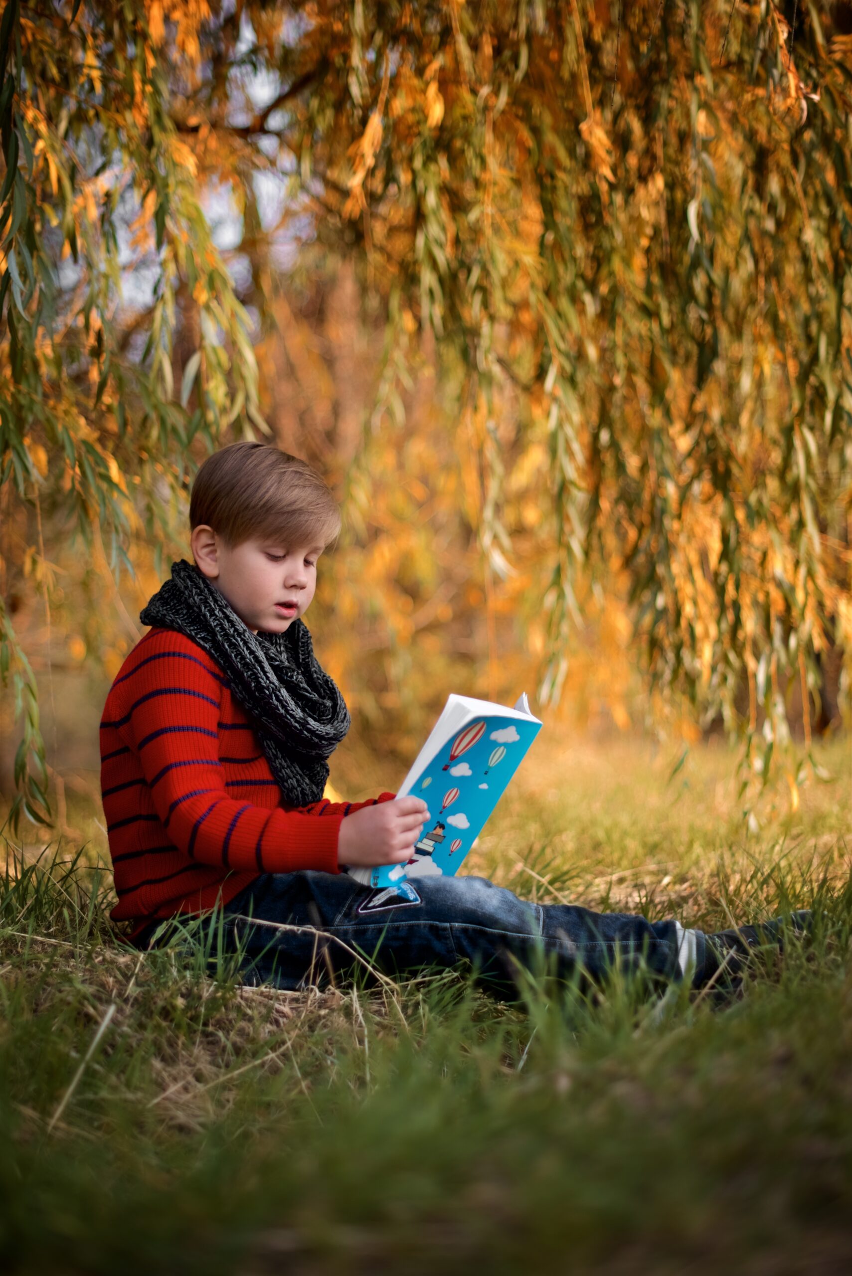 a-boy-in-a-red-sweater-sits-near-a-yellow-autumn-t-2025-01-07-06-48-55-utc